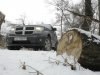 Тест-драйв Nitro